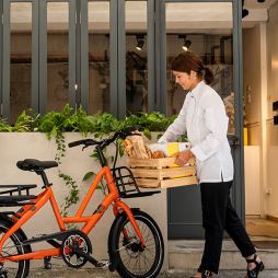 TERN Short Haul D8 (15)