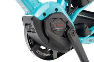 TERN GSD S10 (23)