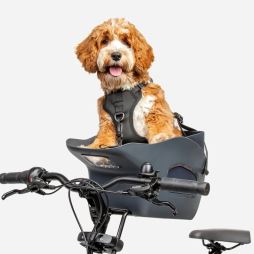 KVISP Dog Bike Carrier M (3)